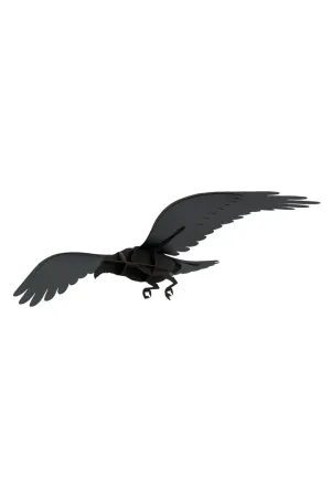 Adam Raven