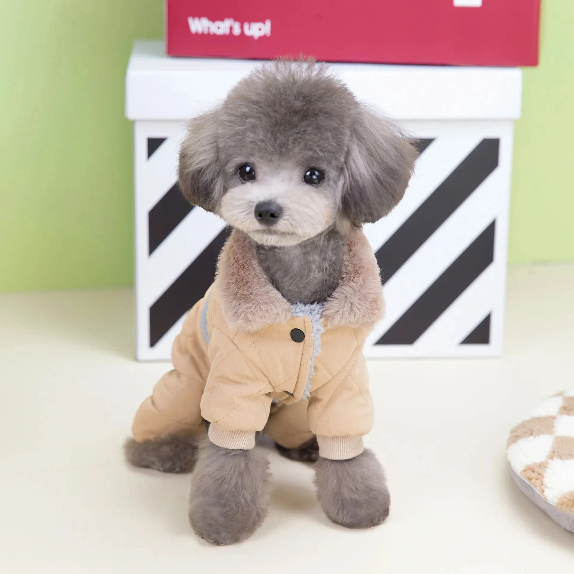 Winter Dog Overalls with Fur Collar and D Ring for Small Breeds